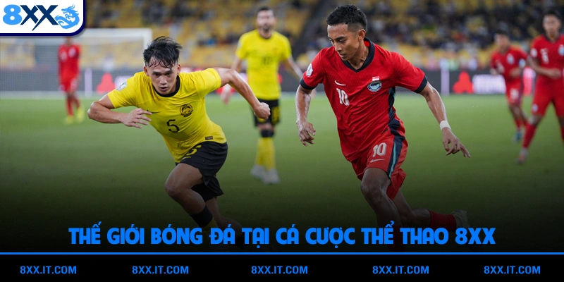 Thế giới bóng đá tại cá cược thể thao 8XX