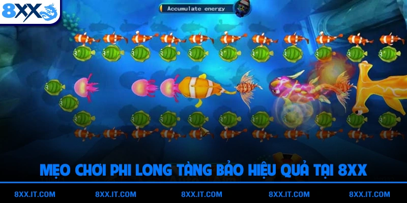 Mẹo chơi Phi Long Tàng Bảo hiệu quả tại 8XX